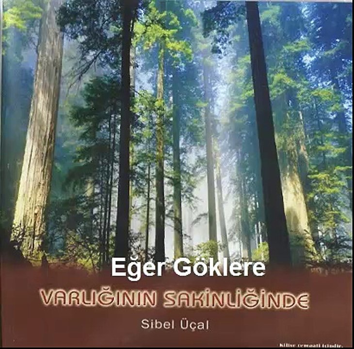 Eğer Göklere