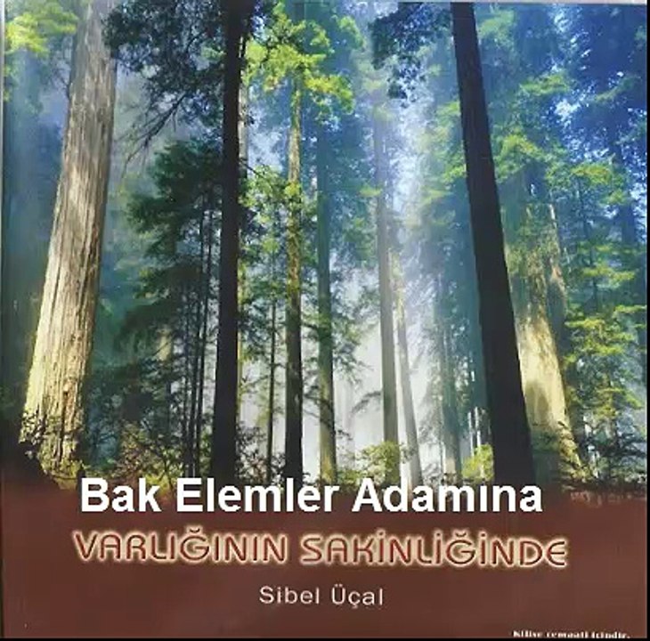 Bak Elemler Adamına