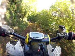 banshee avec les copains