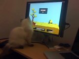 Un chat joue à Duck Hunt