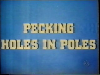 Pica Pau - Nunca Aposte Num Poste Furado (Sbt - 30/03/2001)