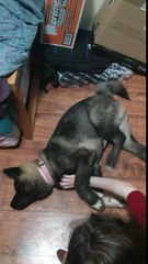 Stacey gets tickling