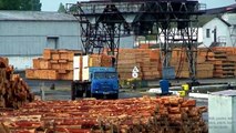 Exports (imports) pine timber/lumber from Ukraine to Turkey - Belgorod-Dniester port. Supplies: Gemlik, Gebze, Samsun, Eregli, Izmir, Mersin