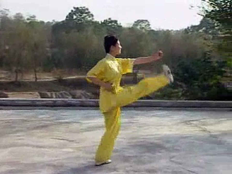 Chang Quan, Yi Dan Chan