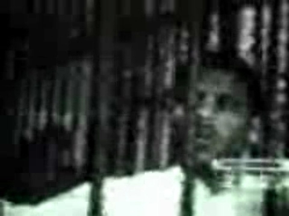 +من+القفص+المصرى