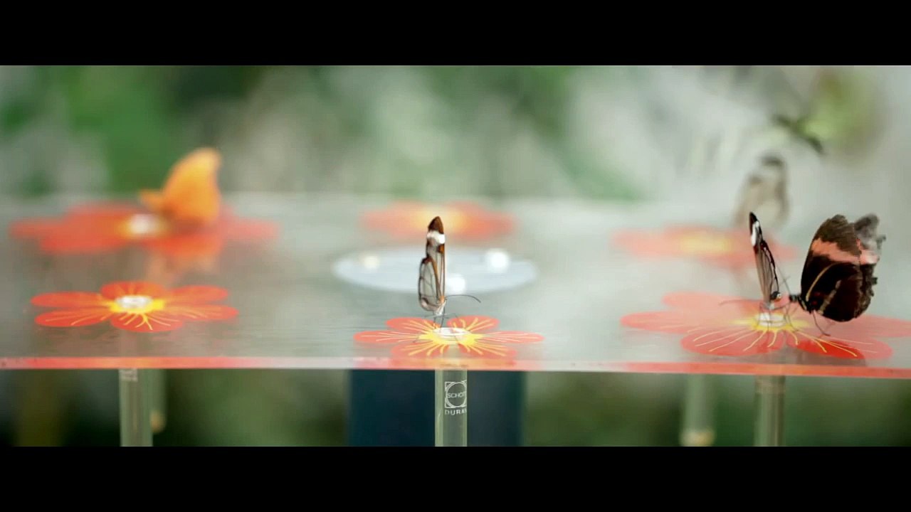 Onder het Hart: Trailer HD