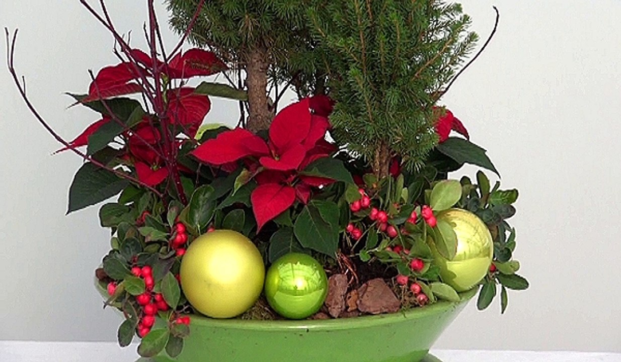 Festliche Ideen (1) Adventsschale