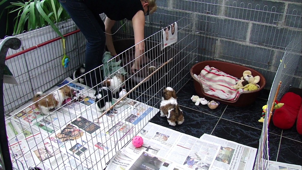 BB DE FALBALA A 1 MOIS