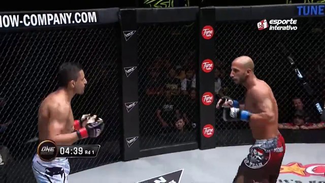 (18) Flying Spinning Elbow