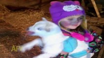 Cute Little Girl Imitates Crying Baby Goat