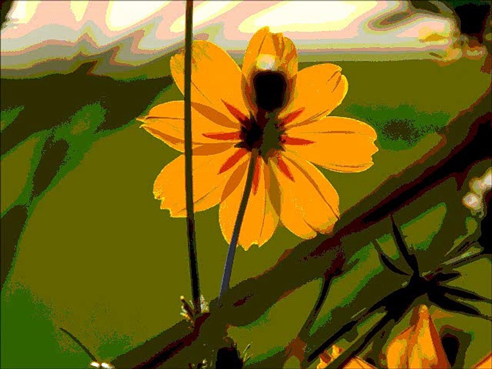 夕暮れに聴くフルート 2014.11.18 無伴奏フルート・ソナタ イ短調Ｗｑ．132 ，Ｈ．562 有田正広