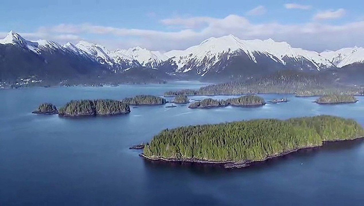 Grandes Espectaculos de la Naturaleza. 6 El gran banquete