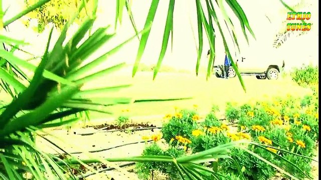 Girum Tamirat - Balgebashime (á‰£áˆáŒˆá‰£áˆ½áˆ) New Hot Ethiopian Music 2014