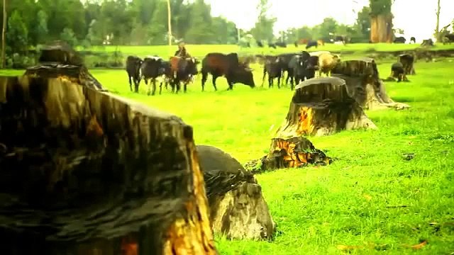 Ethiopian music 2014 Martha Ashagari Abebesh Abeba