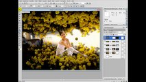 PhotoImpact Ulead gif Animator Tutorial Blumenregen