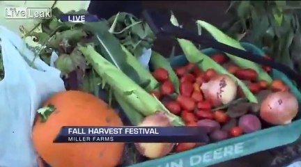 Reporter Makes Baby Cry On Live TV