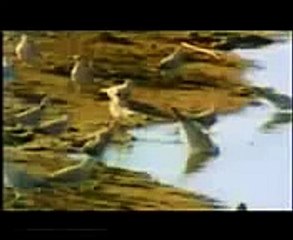 Balaghal Ula Be Kamalehi with subtitles