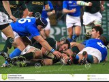 live rugby Italy vs South Africa online stream