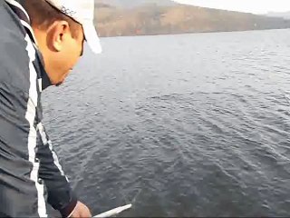 ŞIP ŞIP KAMIŞLA TURNA AVI