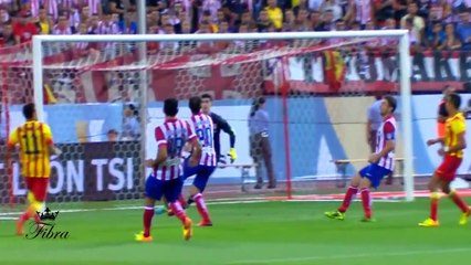 Neymar 2013 14 The Ultimate Skills  And  Tricks