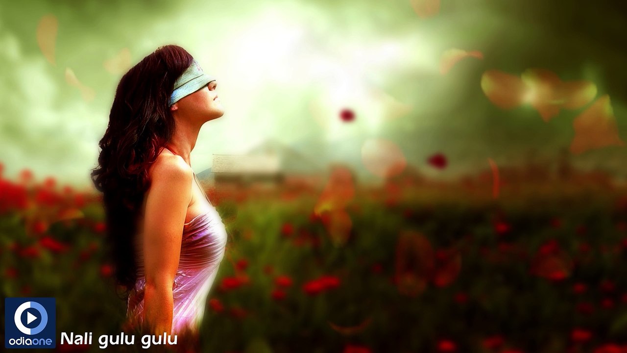 Oriya Romantic Album Alpa Bayasi Jhia | Nali Gulu Gulu | Oriya Latest Songs | Oriya Album