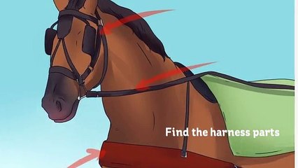 Ideas to Harness a Horse