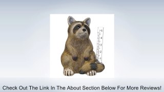 Grasslands Road Raccoon Figurine Rain Gauge, 8-Inch, Gift Boxed