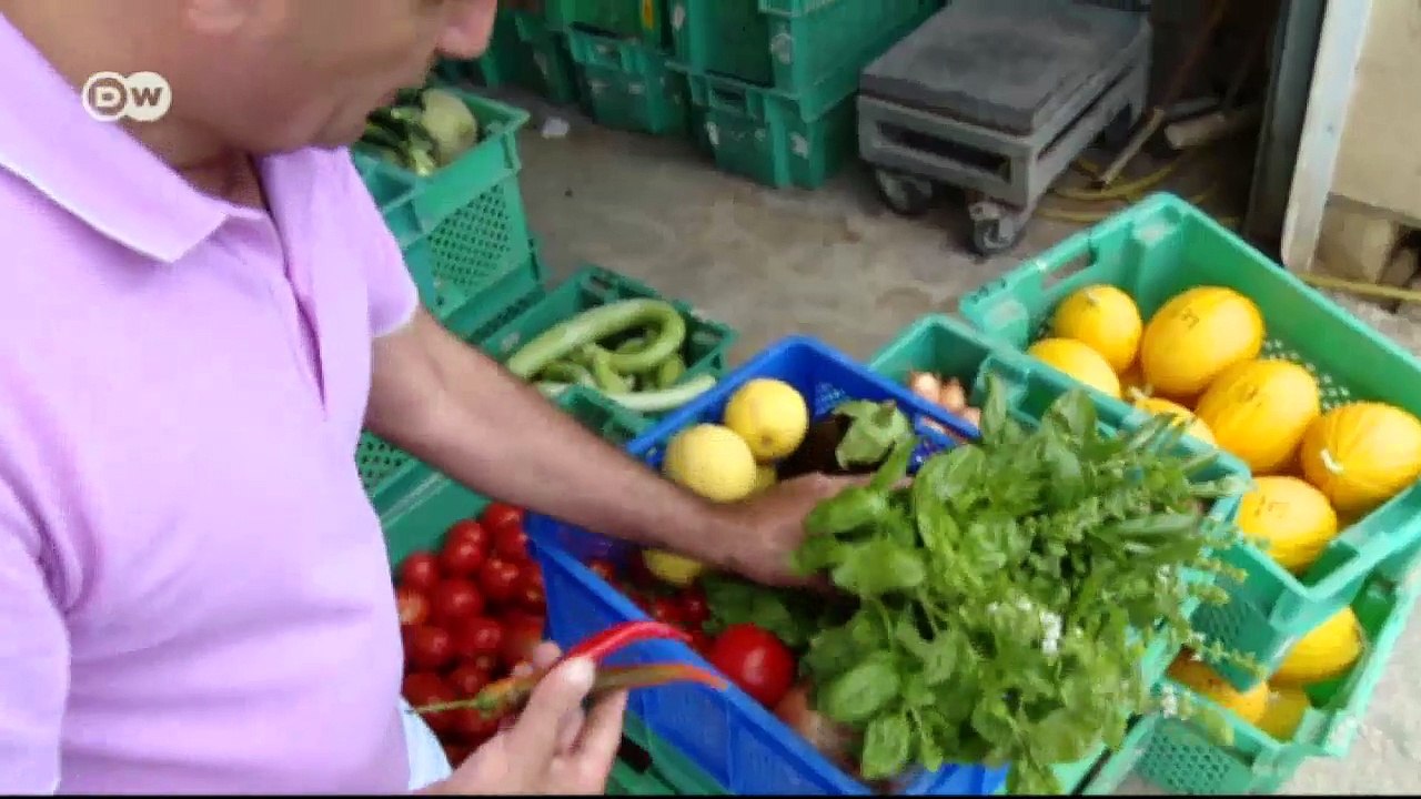 Weißbarsch mit Kapernsauce | Euromaxx