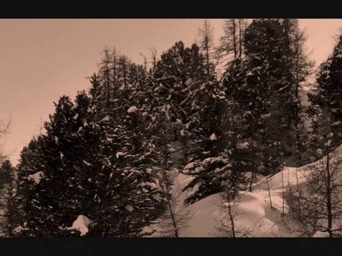 Les Pistes de ski Châtel (74390) Les Portes du Soleil : Un sublime appartement - Haute Savoie