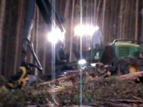 Máquinas robotizadas que cortam àrvores dia e Noite