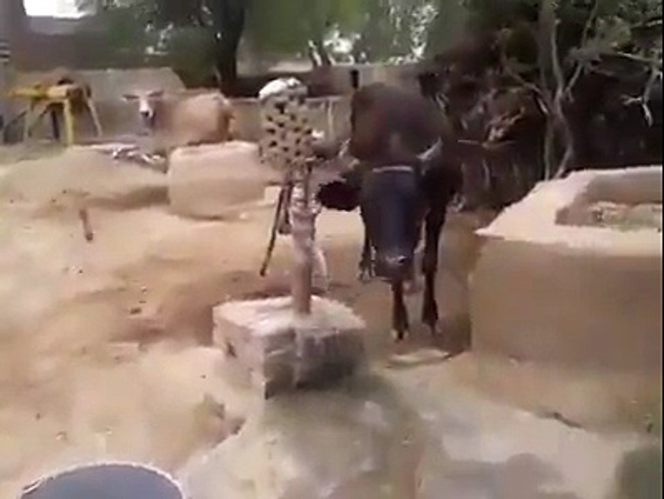Aqal ho to mojan he mojan
