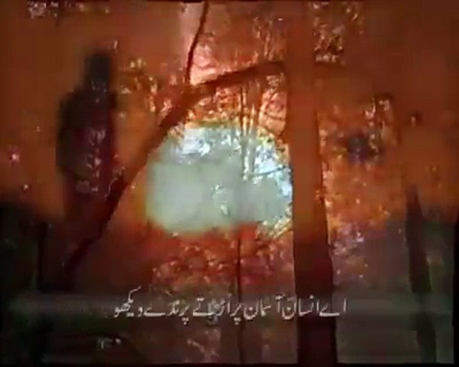 bndy he bohky mrdy ny
