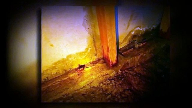 Home Inspection by The Best Home Inspectors Nashville TN