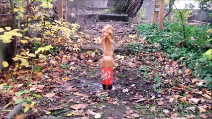 Equipe G - Cola à basse température