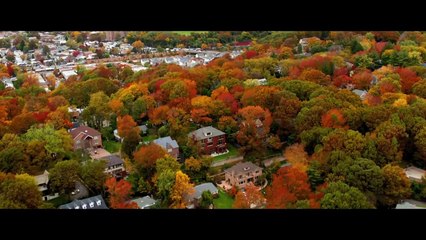 The DUFF Official Trailer #1 (2015) - Bella Thorne, Mae Whitman Comedy HD