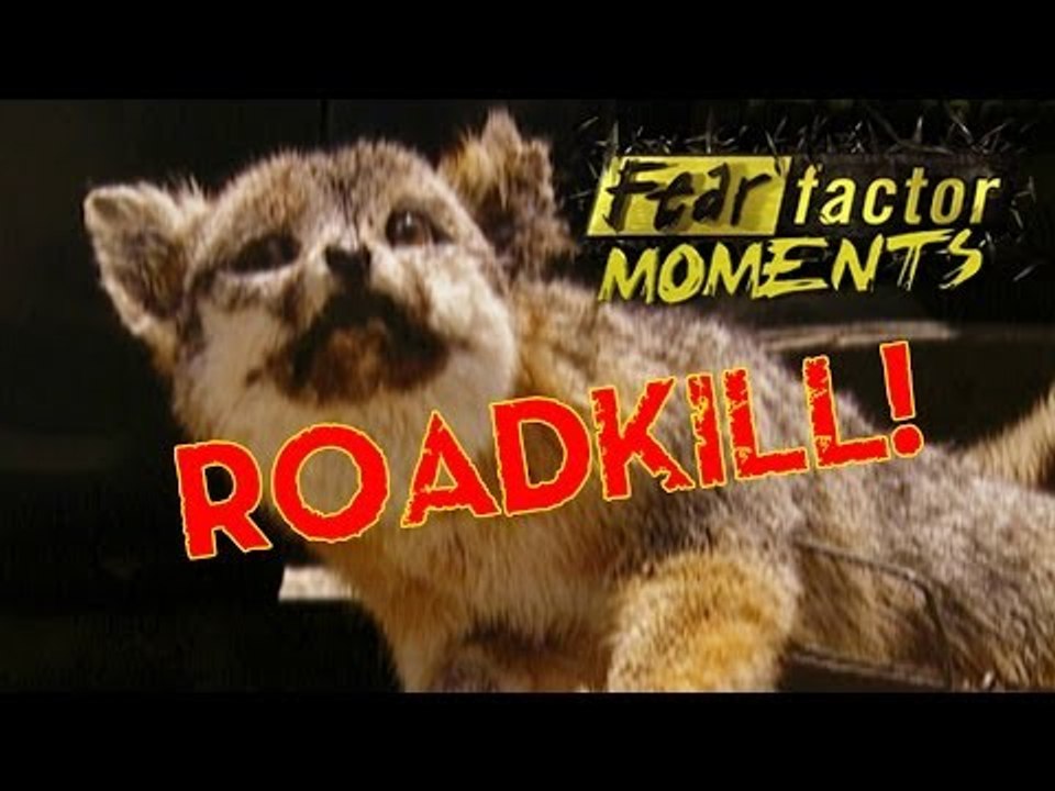 Fear Factor Moments | Road Kill Cafe