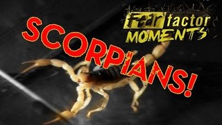 Fear Factor Moments | Scorpion Sludge
