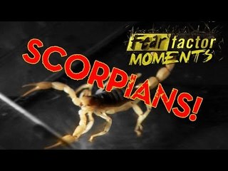 Fear Factor Moments | Scorpion Sludge