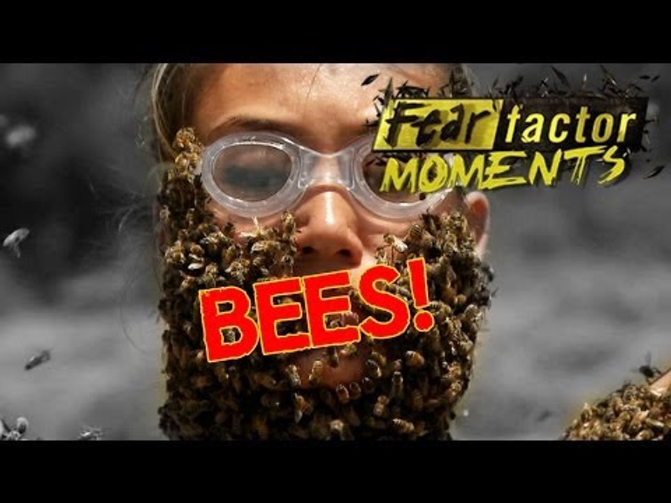 Fear Factor Moments | Bee-Ware