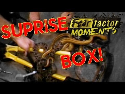 Fear Factor Moments | Military Crate Drop