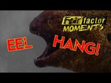 Fear Factor Moments | Eel Hang