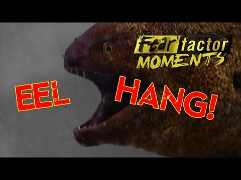 Fear Factor Moments | Eel Hang