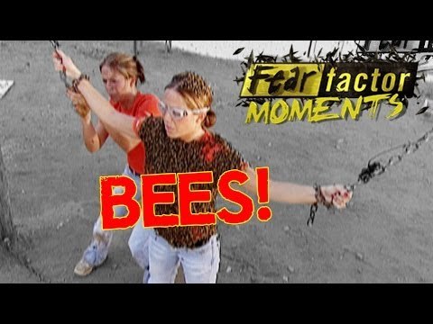 Fear Factor Moments | Bee Escape
