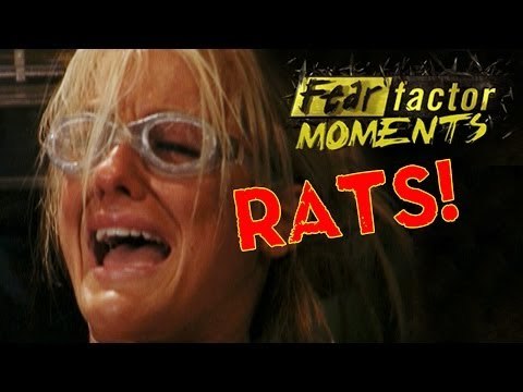 Fear Factor Moments | Bobbing in Rats