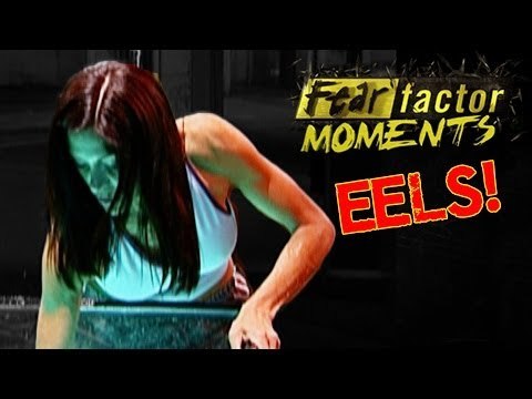 Fear Factor Moments | Electric Eels