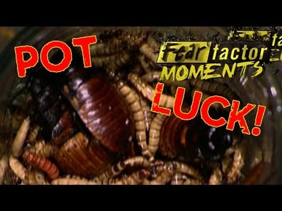 Fear Factor Moments | Pot Luck Dinner