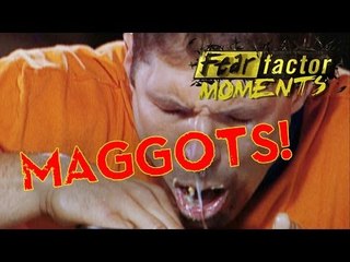 Fear Factor Moments | Maggoty Cheese