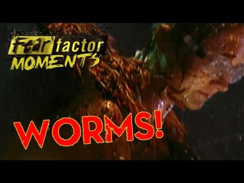 Fear Factor Moments | Bug Tumbler