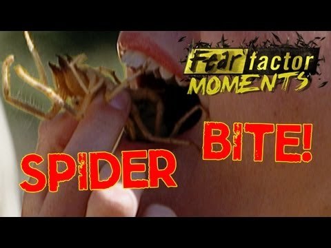 Fear Factor Moments | Eat Camel Spiders