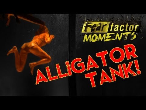 Fear Factor Moments | Alligator Tank